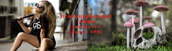 дмт Балахна