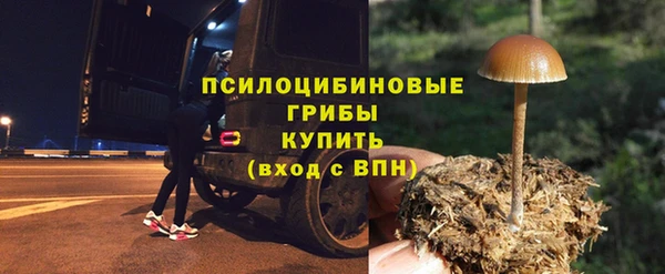 дмт Балахна