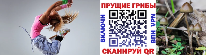 где продают   Красный Холм  OMG зеркало  Галлюциногенные грибы Magic Shrooms 